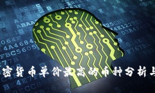 2023年加密货币单价最高的币种分析与投资策略
