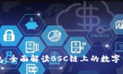 小狐钱包：全面解读BSC链
