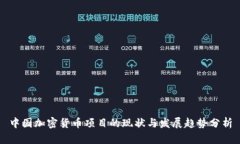 中国加密货币项目的现状