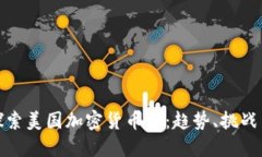 深入探索美国加密货币群