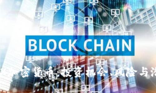 了解HEX加密货币：投资机会、风险与潜在回报