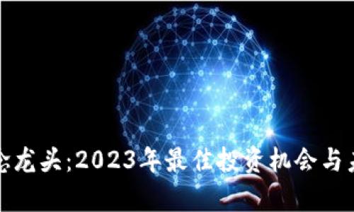 加密货币概念龙头：2023年最佳投资机会与未来前景分析