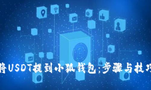 如何将USDT提到小狐钱包：步骤与技巧详解