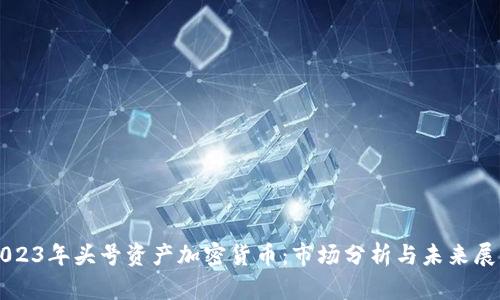 2023年头号资产加密货币：市场分析与未来展望