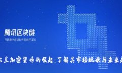 爱尔兰加密货币的崛起：