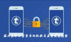 国内虚拟加密货币的现状