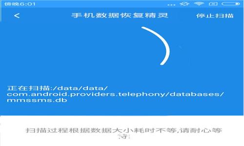 弹性加密货币：未来金融的创新变革与挑战