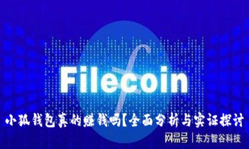 小狐钱包真的赚钱吗？全面分析与实证探讨