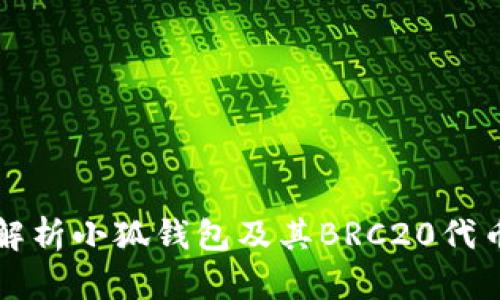 全面解析小狐钱包及其BRC20代币功能
