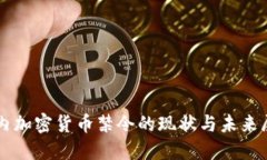 国内加密货币禁令的现状