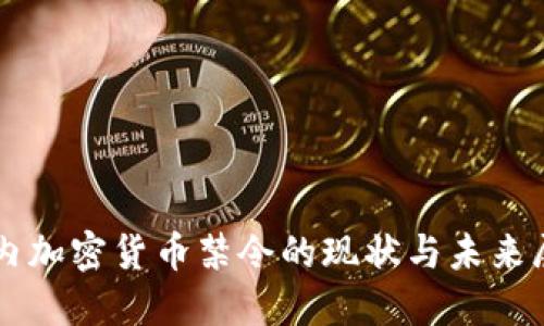 国内加密货币禁令的现状与未来展望
