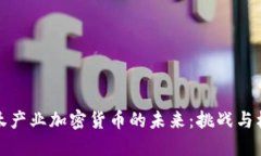 淘汰产业加密货币的未来