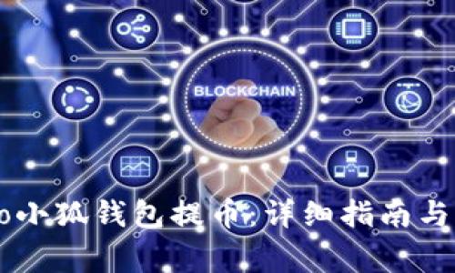 如何使用Creo小狐钱包提币：详细指南与常见问题解答