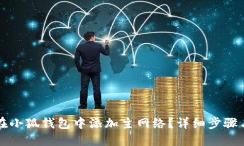 如何在小狐钱包中添加主网络？详细步骤与指南