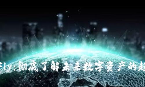 加密货币Fly：彻底了解未来数字资产的趋势与挑战