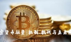 加密货币融资：机制、挑