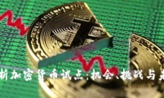 全面解析加密货币试点：