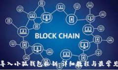  如何安全导入小狐钱包私