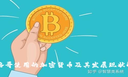 摩洛哥使用的加密货币及其发展现状解析