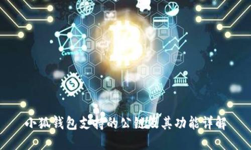 小狐钱包支持的公链及其功能详解