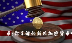 “爱瑅币：你了解的新兴