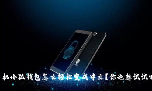手机小狐钱包怎么轻松变成中文？你也想试试吗？