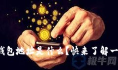 小狐钱包地址是什么？快