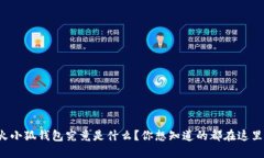 火小狐钱包究竟是什么？