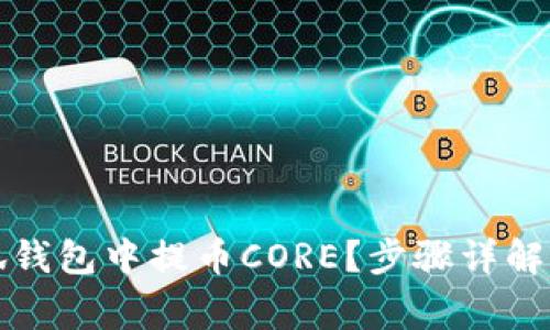 如何在小狐钱包中提币CORE？步骤详解与注意事项