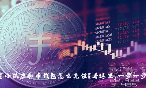 想知道小狐虚拟币钱包怎么充值？看这里，一步一步教你！