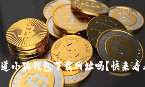 你知道小狐钱包下载网址吗？快来看看吧！