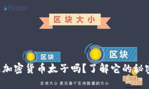 你听说过加密货币太子吗？了解它的秘密与未来！