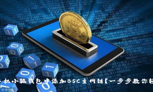 怎么在手机小狐钱包中添加BSC主网链？一步步教你轻松搞定！