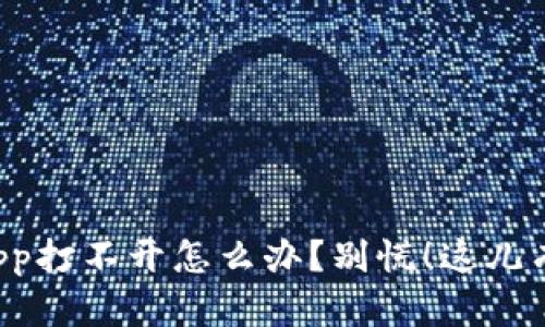 小狐钱包app打不开怎么办？别慌！这儿有解决方案！