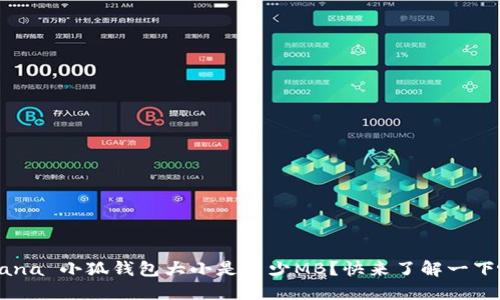  xana 小狐钱包大小是多少MB？快来了解一下吧！