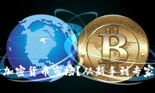 如何有效分析加密货币市场？从新手到专家的全方位指南