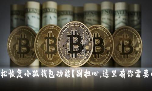 如何轻松恢复小狐钱包功能？别担心，这里有你需要的一切！