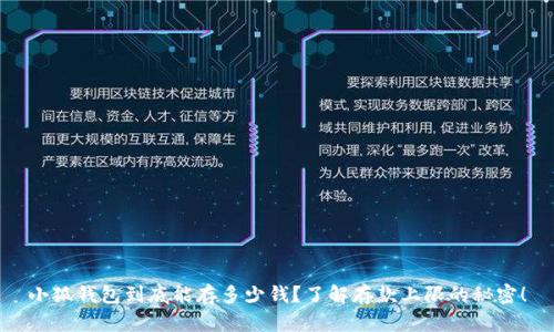 小狐钱包到底能存多少钱？了解存款上限的秘密！