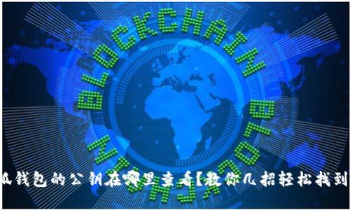 小狐钱包的公钥在哪里查看？教你几招轻松找到它！
