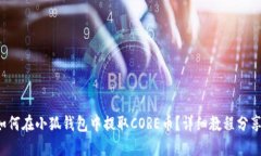 如何在小狐钱包中提取C