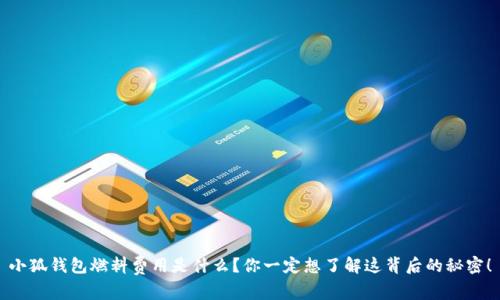 小狐钱包燃料费用是什么？你一定想了解这背后的秘密！