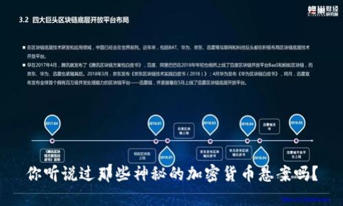 你听说过那些神秘的加密货币悬案吗？