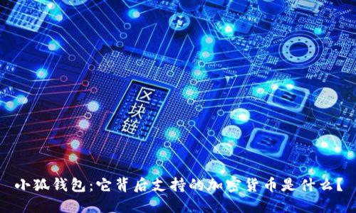 小狐钱包：它背后支持的加密货币是什么？