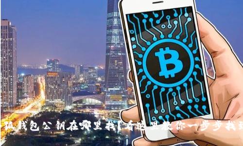 小狐钱包公钥在哪里找？看这里教你一步步找到！