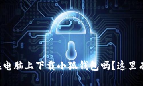 你知道怎么在电脑上下载小狐钱包吗？这里有个简单步骤！