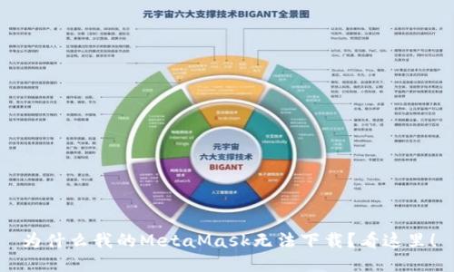 为什么我的MetaMask无法下载？看这里！