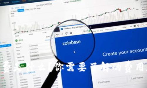 MetaMask收费是什么？你需要了解的费用和省钱小技巧