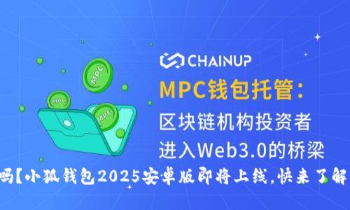 你知道吗？小狐钱包2025安卓版即将上线，快来了解一下吧！
