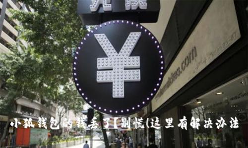 小狐钱包的钱丢了？别慌！这里有解决办法