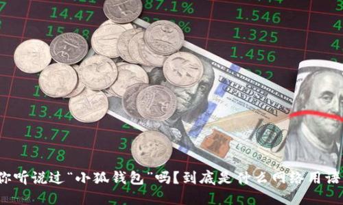 你听说过“小狐钱包”吗？到底是什么网络用语？
